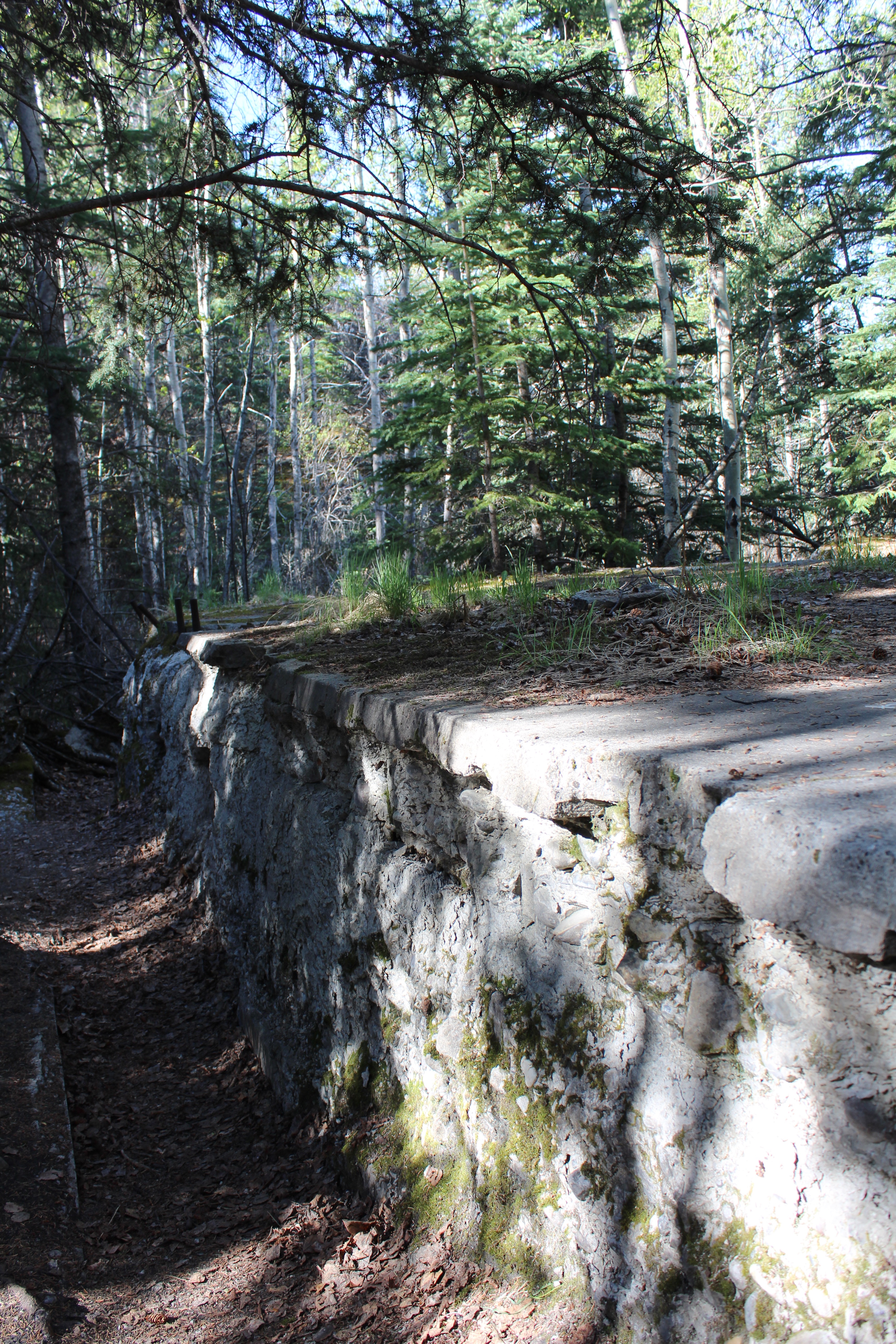 Pocahontas Mine Trail Loop Jasper Alberta
