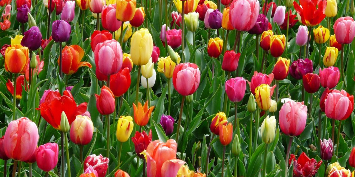 Spring Blog Post Ideas