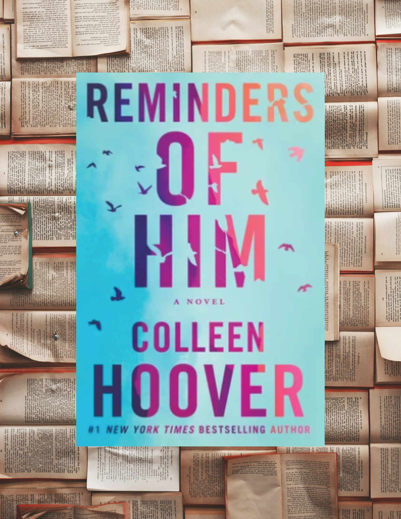 Reminders Of Him Book Review