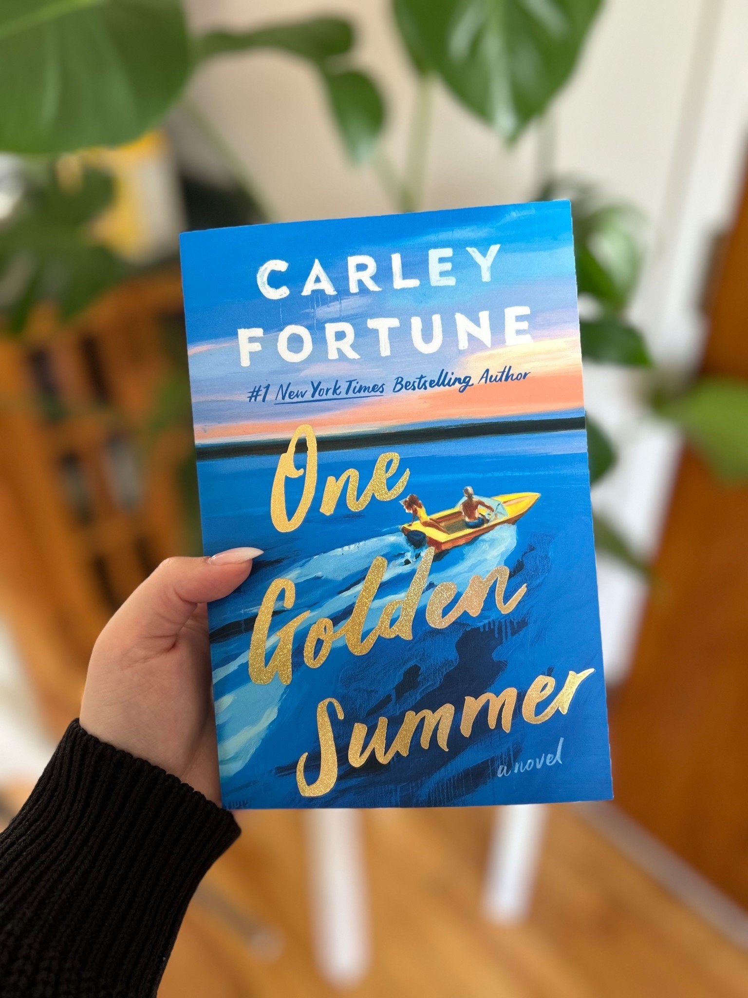 One Golden Summer By Carley Fortune Book Review