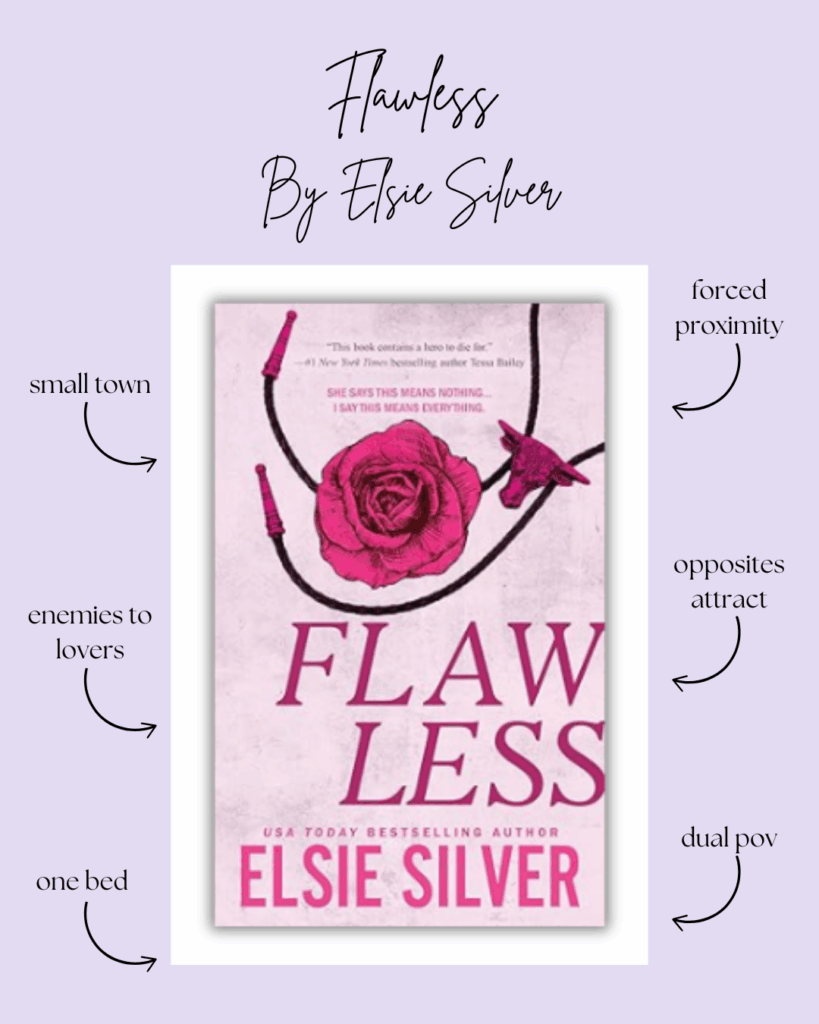 Chestnut Springs By Elsie Silver Book Series Review