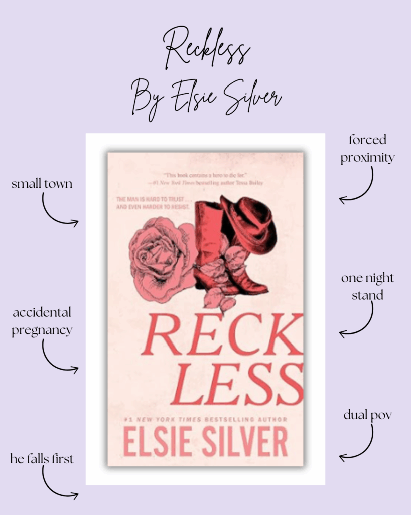 Chestnut Springs By Elsie Silver Book Series Review reckless