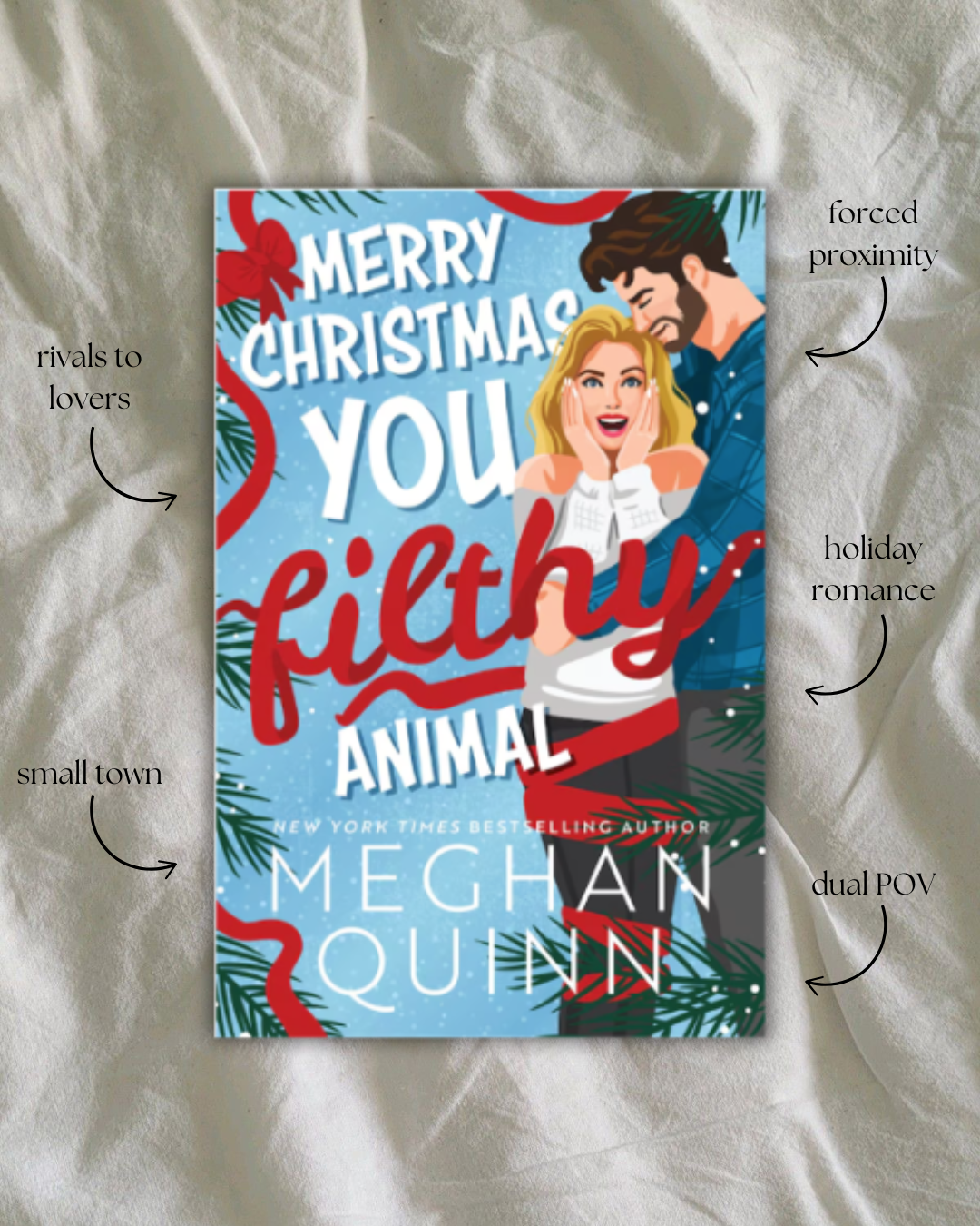Merry Christmas You Filthy Animal by Meghan Quinn Book Review