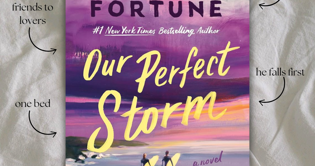 Our Perfect Storm By Carley Fortune Book Review