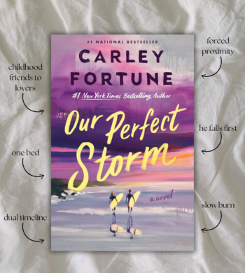 Our Perfect Storm By Carley Fortune Book Review