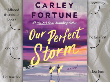 Our Perfect Storm By Carley Fortune Book Review