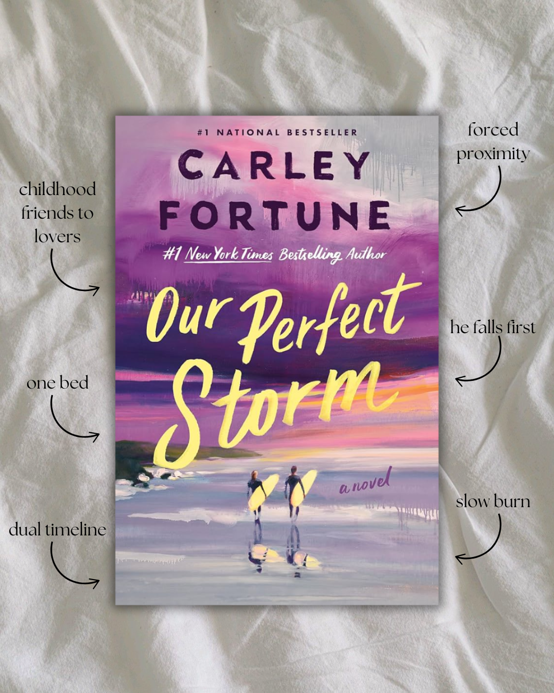 Our Perfect Storm By Carley Fortune Book Review
